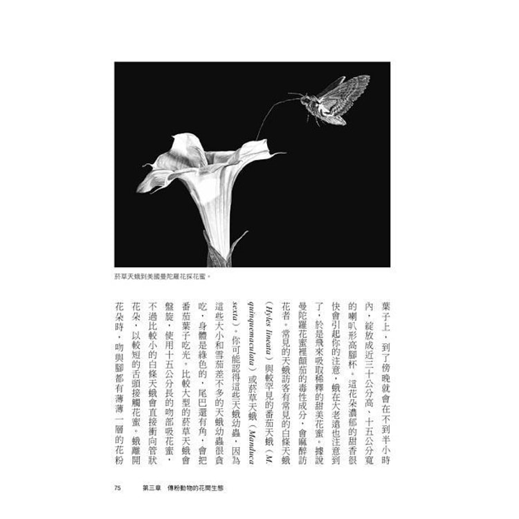 繁體 花 如何改變世界 穿越科學 商業 歷史與文化 探索花與人類的不思議共生史 Yamibuy Com 繁體 花 如何改變世界 穿越科學 商業 歷史與文化 探索花與人類的不思議共生史 Yamibuy Com