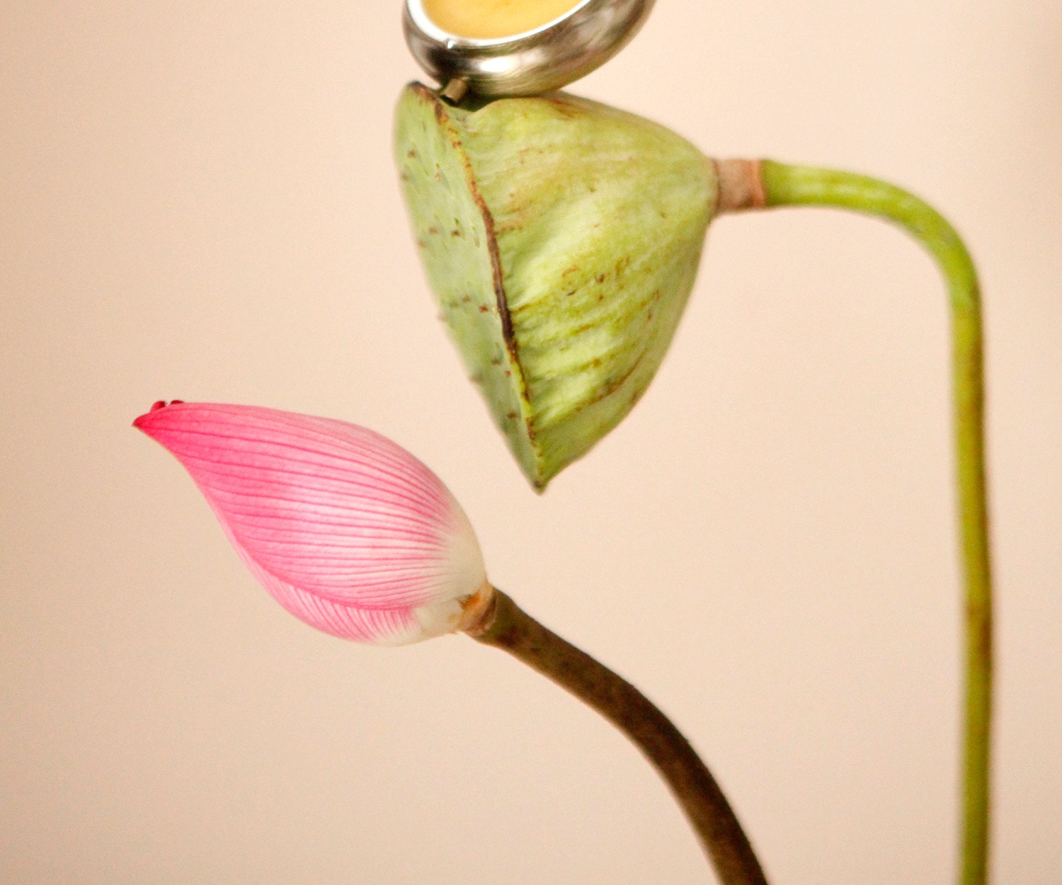 【中國直郵】 故宮淘寶 兜裡有香香 {芙薔} 蓮花荷花香 古風香膏固體淡香香水 出淤泥而不染香氣雅緻 【芙葖+花瓣取香勺】10g
