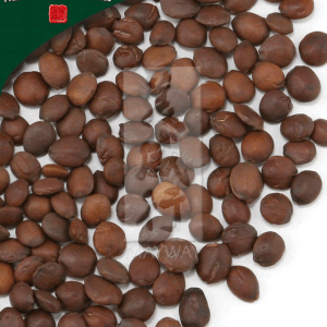 Suan Zao Ren (Chao), Unsulfured 500 G/bag