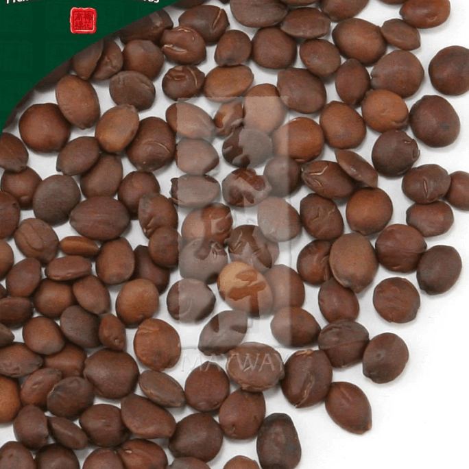 메이화 브랜드 사워 대추씨(튀김), 무황 500g/팩