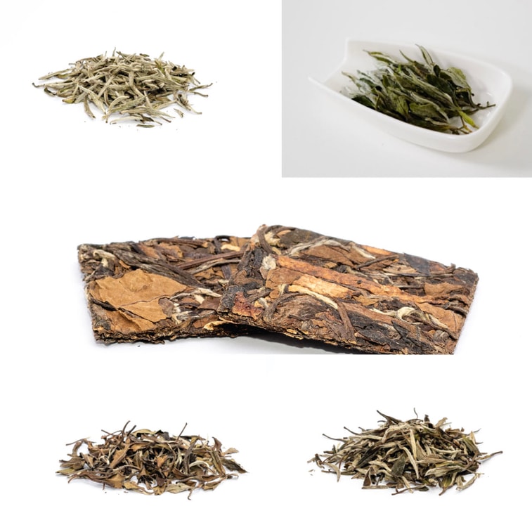 ZhaoTea 白茶品鉴装  4款经典白茶 白毫银针 花香白牡丹 陈韵白牡丹 陈皮白茶 茶叶 白茶 22g 6