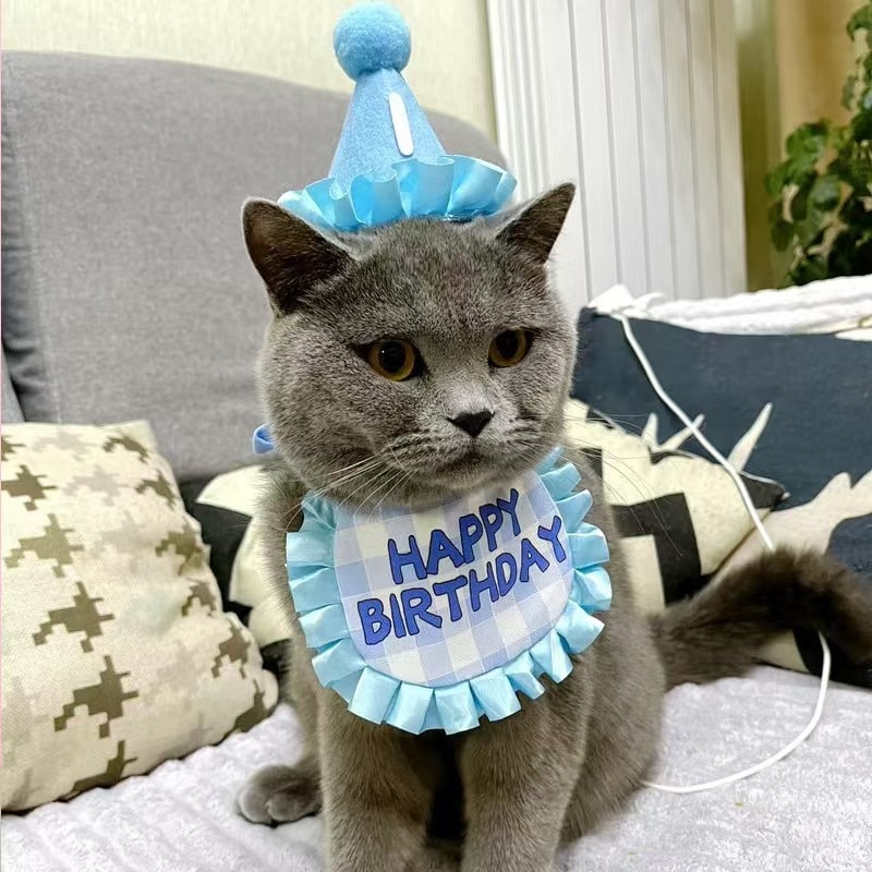 Fancy Jasmine 宠物生日帽围兜猫咪生日快乐套装可爱道具组合装扮饰品围脖口水巾 蓝色套装 1件