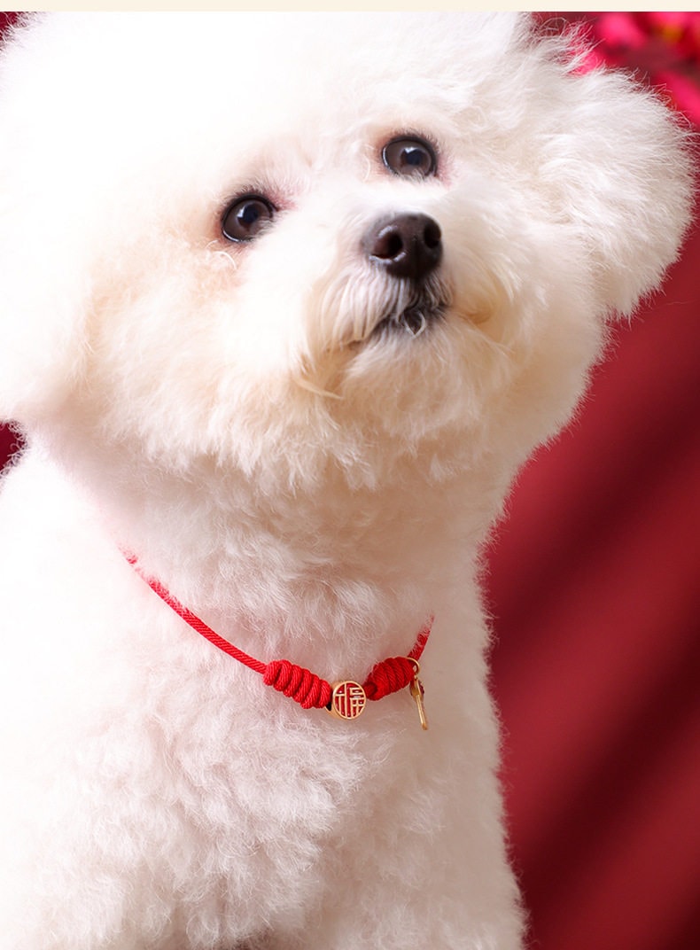 【中国直邮】 宠亮 猫咪项圈狗脖圈装饰品红绳脖圈招财纳福幼猫围脖小配饰头套猫项链 平安健康一个装 (7-17斤)