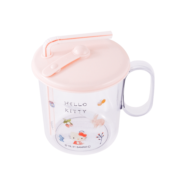 Sanrio Double Wall Straw Cup – GoodChoyice