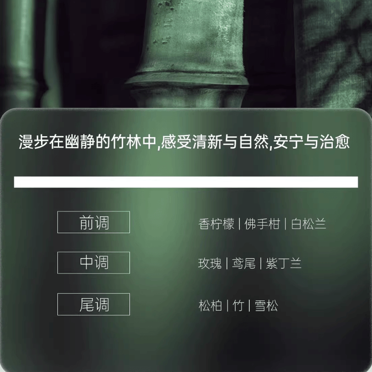 【中国直送】Shi Pei Si 洗い流さないシャンプー 5ml×10×2 オイルコントロール、ボリュームアップ、携帯可能、速乾性ヘアジェル、オイル除去、洗浄、トラベルサイズ 4