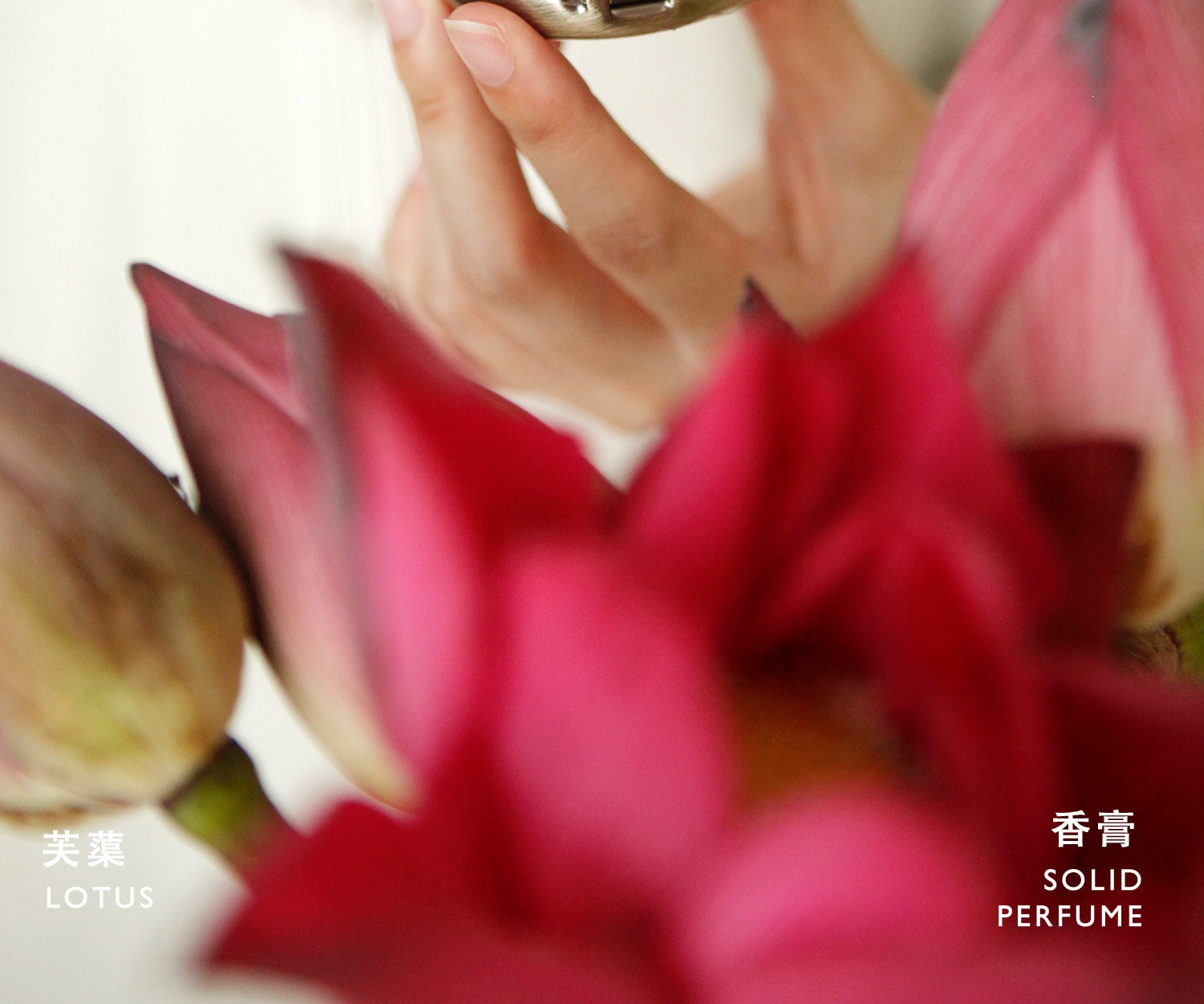 【中國直郵】 故宮淘寶 兜裡有香香 {芙薔} 蓮花荷花香 古風香膏固體淡香香水 出淤泥而不染香氣雅緻 【芙葖+花瓣取香勺】10g