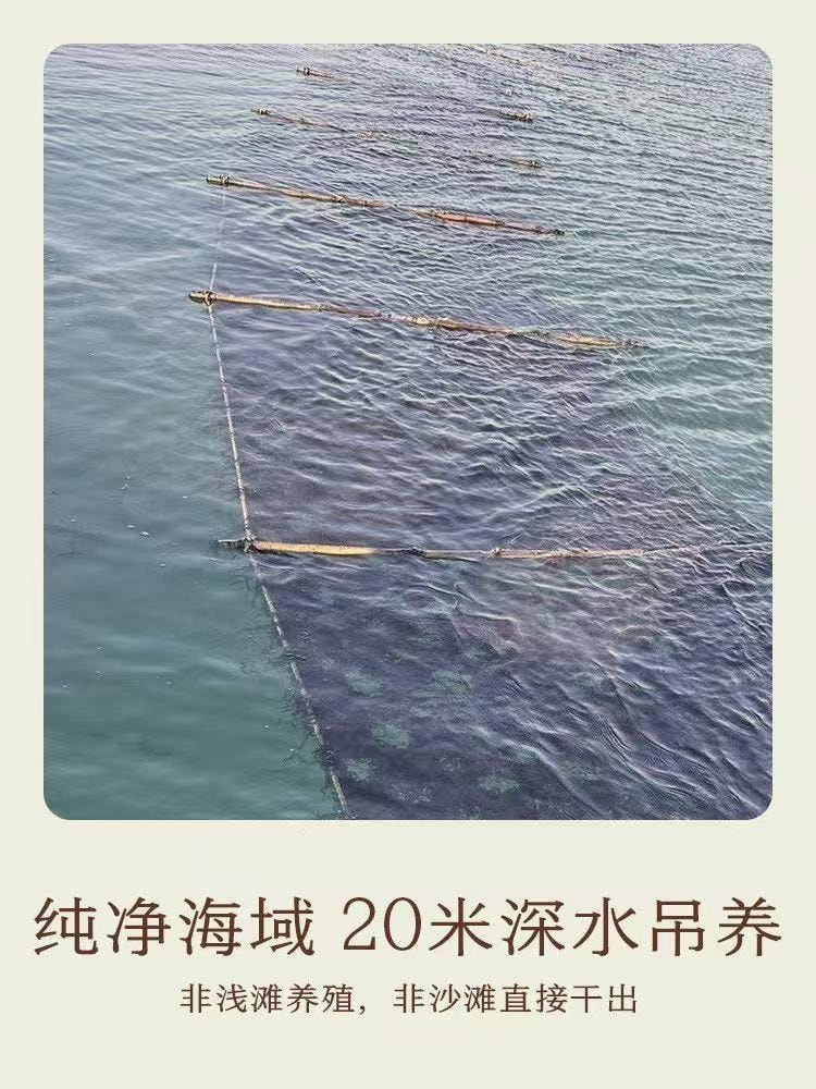 【中國直郵】 南食召 頭水紫菜40g*1罐 乾淨無沙·免洗免撕 深水吊養紫菜水產乾貨
