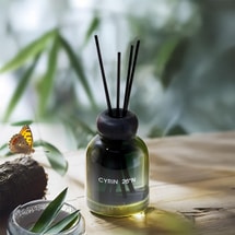 Cyrin 26°N 컬렉션 포레스트 브레스 바인 리드 디퓨저, 무화염 향, 대나무 호라이즌 향, 150ml