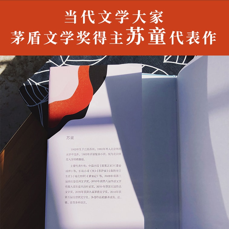 罂粟之家(茅盾文学奖得主苏童中篇小说代表作) 4