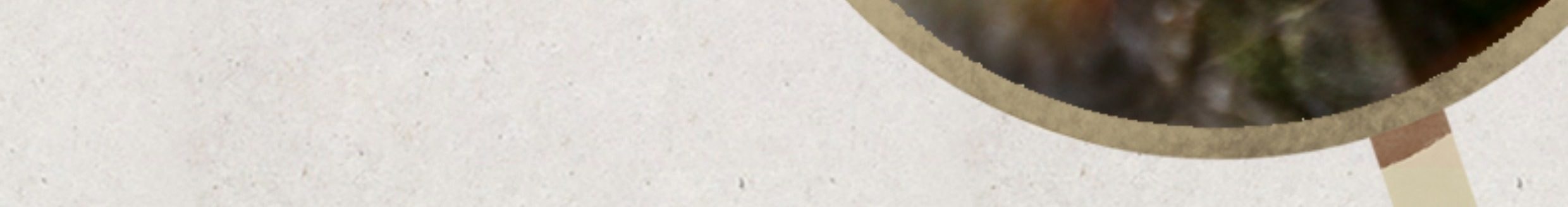 【中国直邮】 胡婆婆 胡兴堂黄山毛豆腐  徽州特色美食小吃 佳肴毛豆腐 安徽特产 辣味毛豆腐 200g*1盒