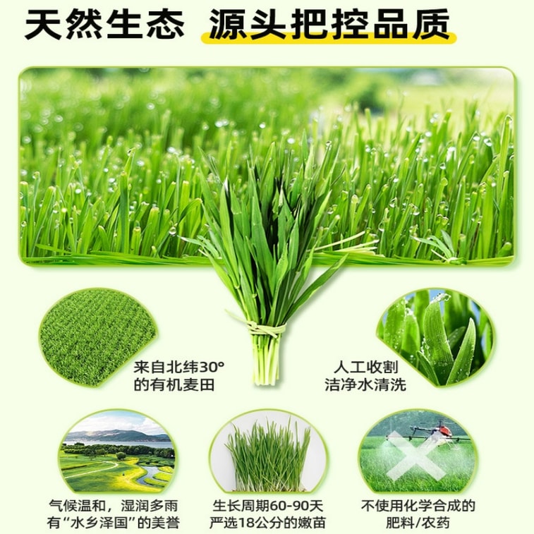 【中国直邮】 修正 大麦若叶青汁粉 60g 高膳食纤维 代餐饱腹 0添加蔗糖 健康早餐搭档 3