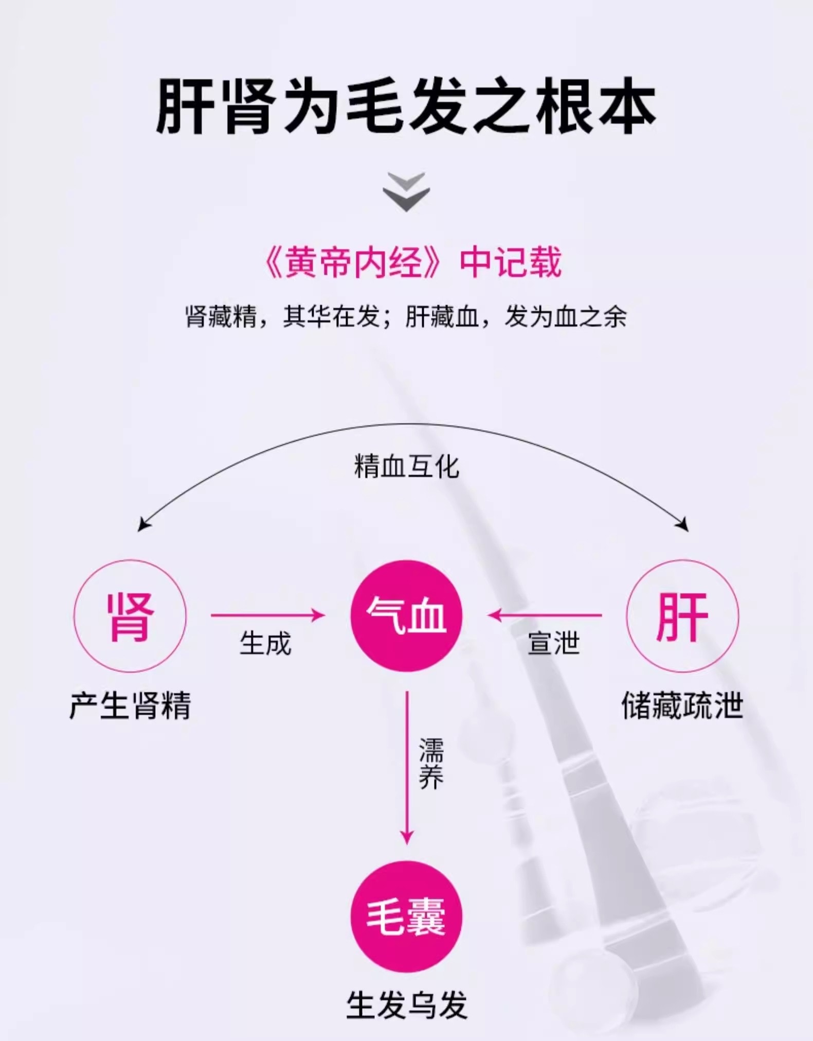 【中國直郵】 達霏欣 生髮片 何首烏養血生髮片補肝益腎斑禿防脫髮白髮 0.35g*108片/盒