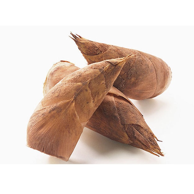 新鲜冬笋 (1 lb-1.2lbs)