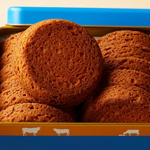 Japon Échiré biscuits au beurre populaires sur Instagram, coffret cadeau Galette Échiré petite boîte bleue