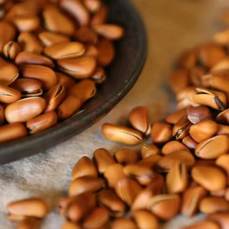 コアラ＆リス【人気商品入荷】2025年新商品 手剥き松の実 220g ぷっくり大きめの実 3