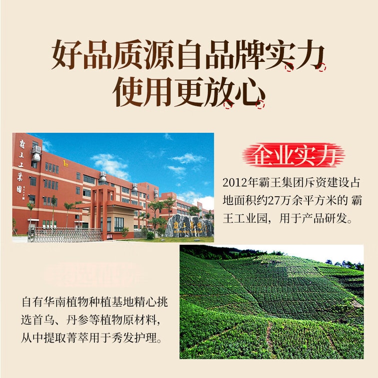 【中国直邮】 霸王 首乌育发洗发水固发滋润保湿强韧头发洗发水男女通用  300ml 3