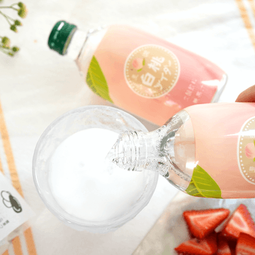 White Peach Cider,Fruit Soft Drink,Carbonated Drink ,10.14 fl oz