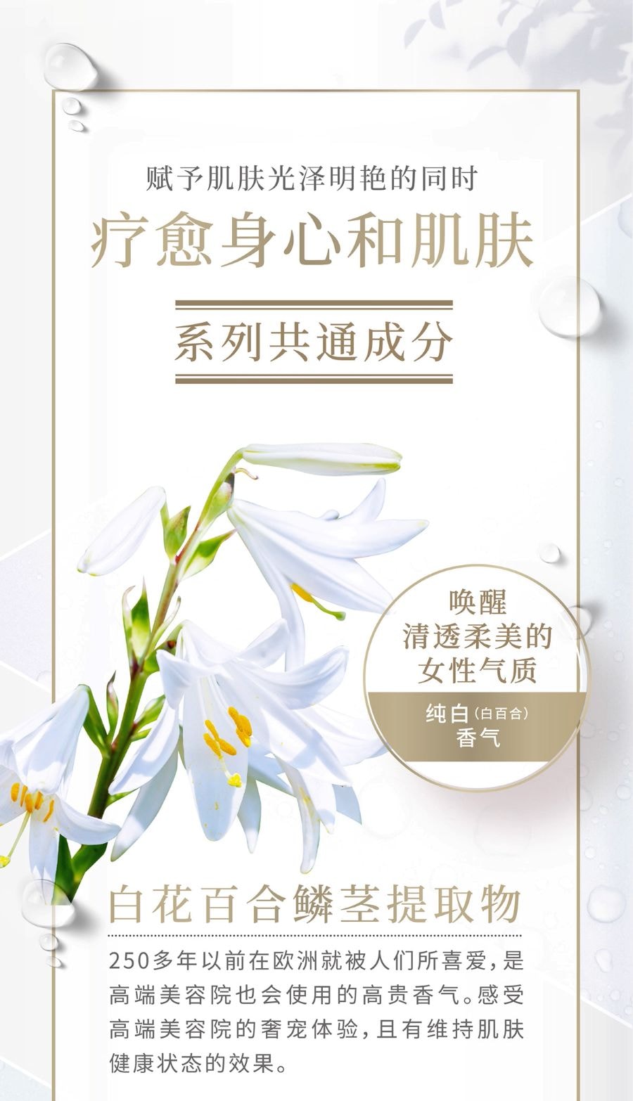 【日本直郵】 日本 曉姿 LisBeau麗絲碧百合淨透精華乳 100ml