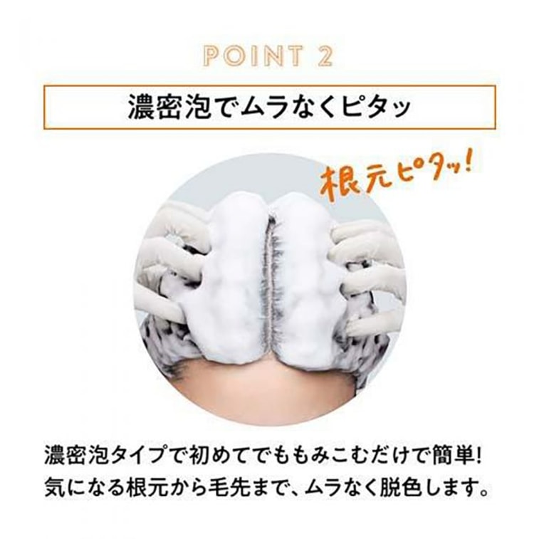  日本 KAO花王 Liese 泡沫漂髮劑 108ml (自然色調) 4