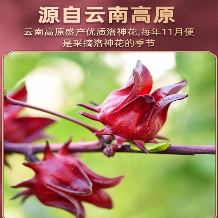 岷农人 玫瑰茄洛神花 50g/罐 花果茶 女性保健茶 降血压 抗氧化 促进消化 增强免疫力 利尿 调节血糖【美容养颜调气茶 早C晚A 养肤好气色】 5