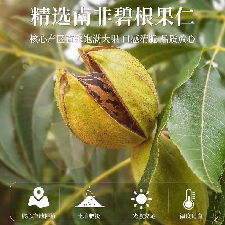 【中國直郵】 老街口 原味長壽果堅果乾果仁休閒健康零食烘焙新貨 碧根果仁250g/袋 3