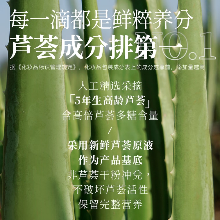 Freshly Extracted Aloe Vera Water (450ml) 4