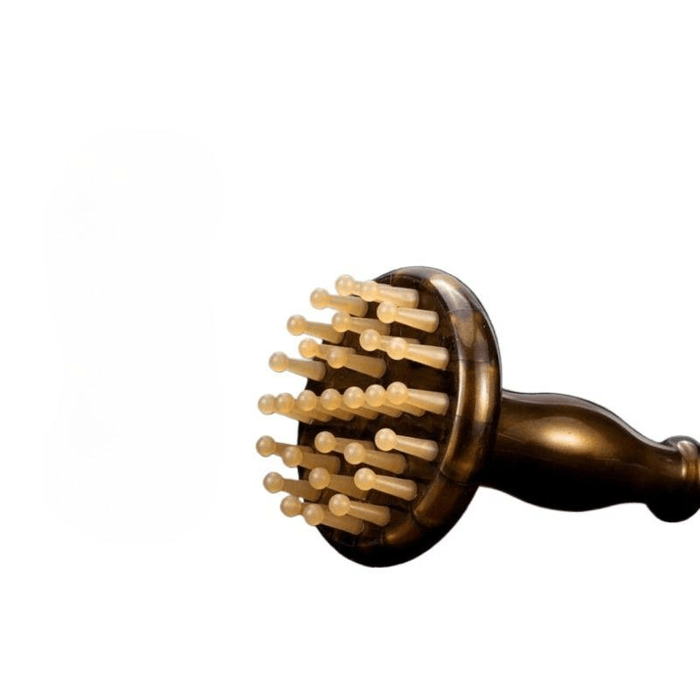 【中國直郵】 良工好物 經絡刷養生炭黑 1個