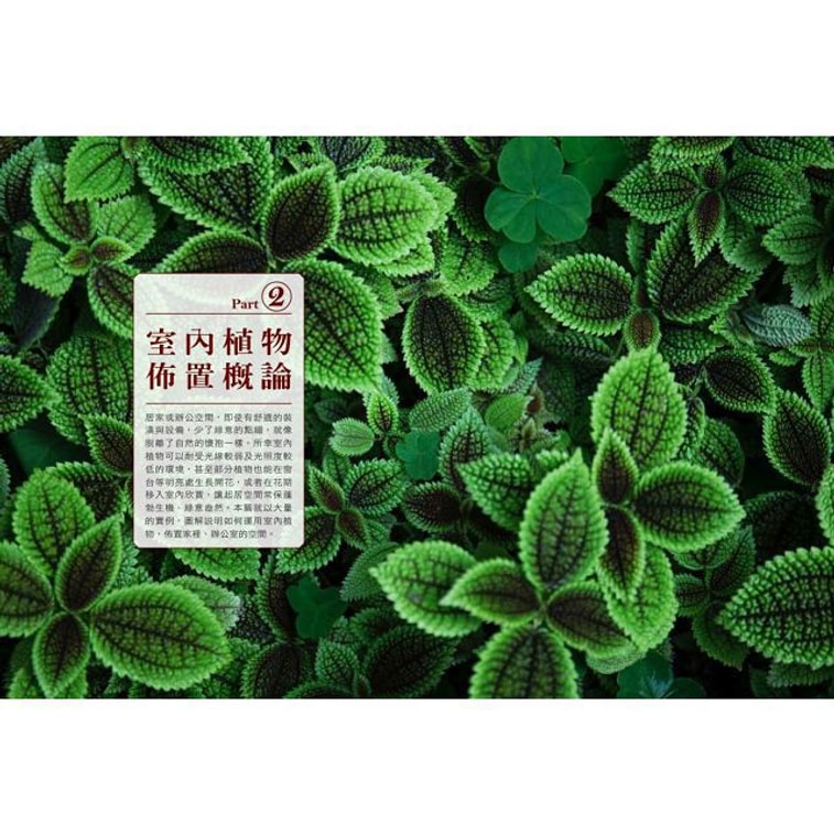 【繁體】綠色家屋:120種室內觀花、觀葉植物栽培與空間綠美化 4
