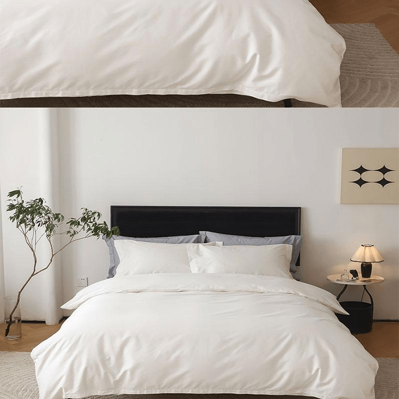 【中國直郵】 Lullabuy 臻柔100支新疆長絨棉床上四件組 米色-King Size