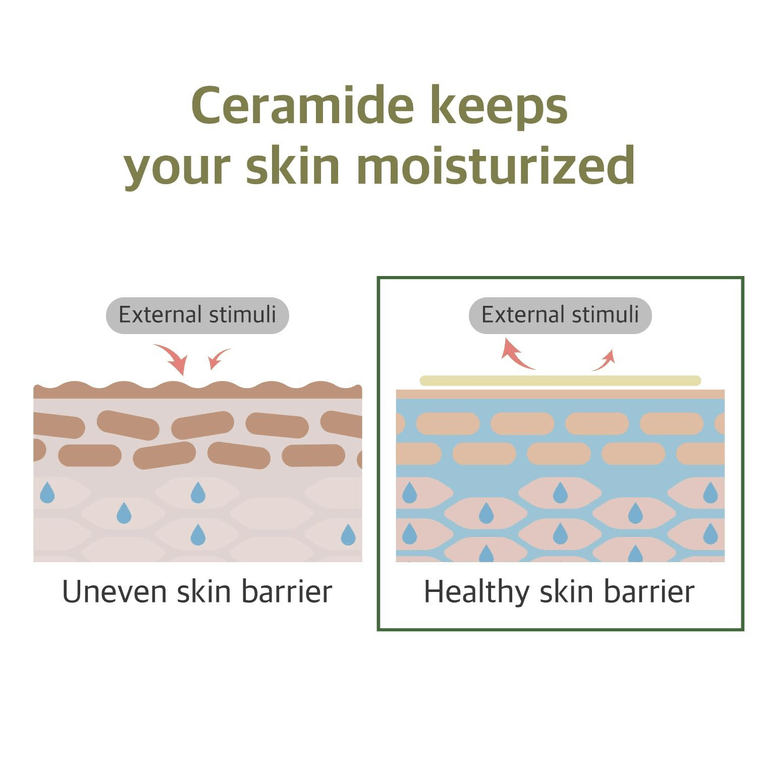 【美国直邮】韩国 ROUND LAB 大豆卸妆油 200毫升 5