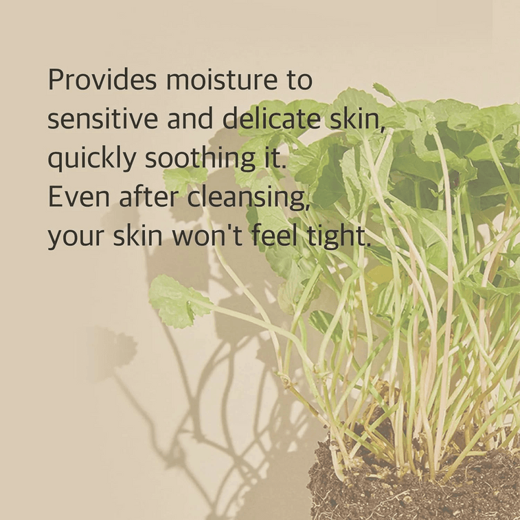 韓國 Mixsoon 積雪草潔面泡沫150毫升 4