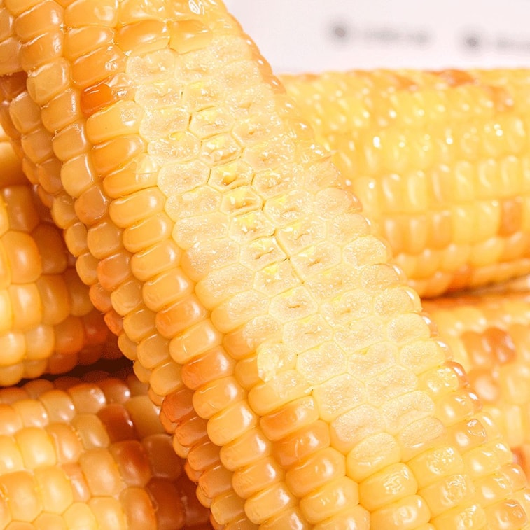 Xishuangbanna Small Flower Glutinous Corn, 3.31 lb 4