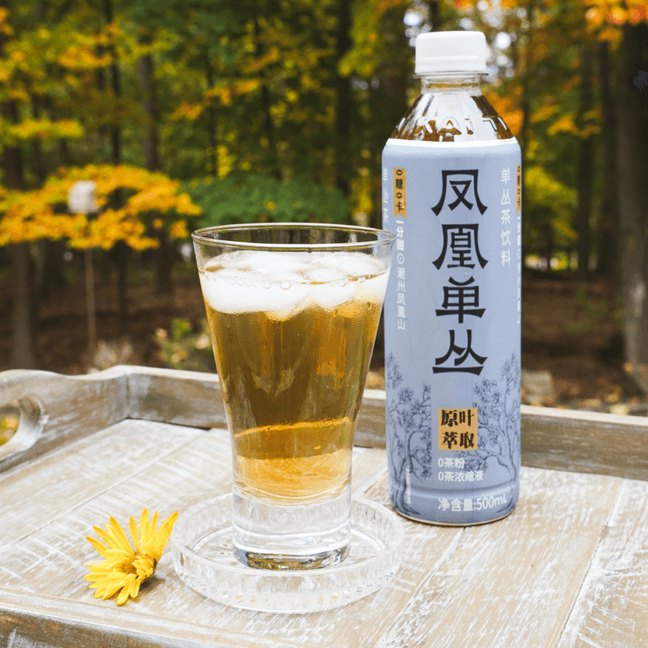 Fenghuang Dancong Tea Beverage 16.91 oz