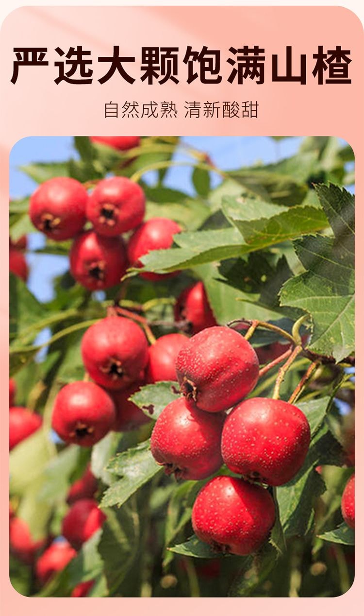 Pitted Hollow Hawthorn with 0 Additives, Dried Large Hawthorn Fruit, Sweet and Sour Snack, 80g*1 Bag