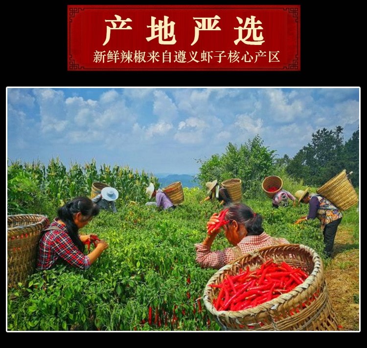 【中國直郵】 黔麻婆 貴州蘸水 特產木薑子胡辣椒麵 柴火糊辣椒粉 抖音爆火蘸水料 【瓶裝】木薑子糊辣椒 250克*1瓶 -中辣【已調好味道】