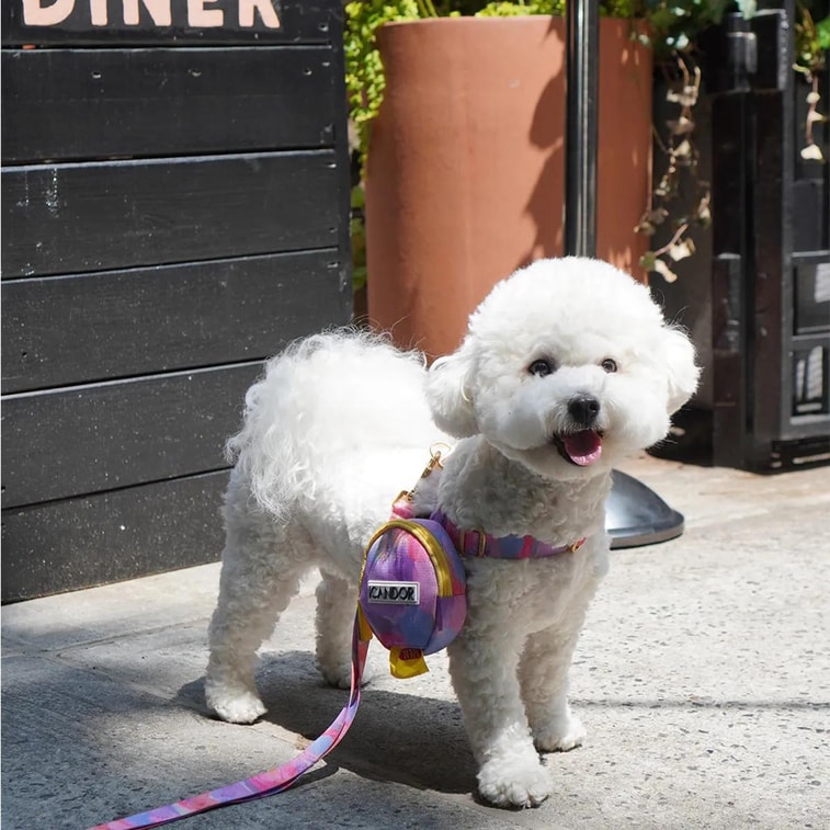 No-Pull Pet Dog Harness Milky Way L Neckline16.1~20.1in Chest20.1~25.2in 18~29lb 12