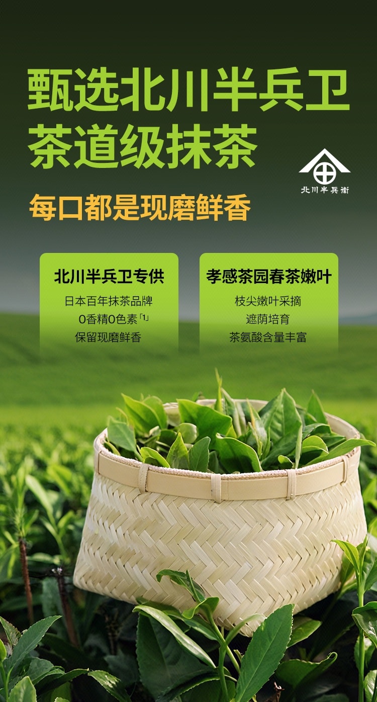 【中国直邮】 每日黑巧 鲜萃巧克力(丝绒抹茶味) 15克