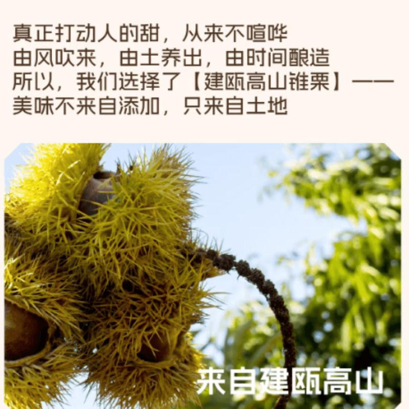 【中國直郵】 嚐示 即食錐栗仁真空香甜軟糯乾淨碳水非栗 200g*1袋