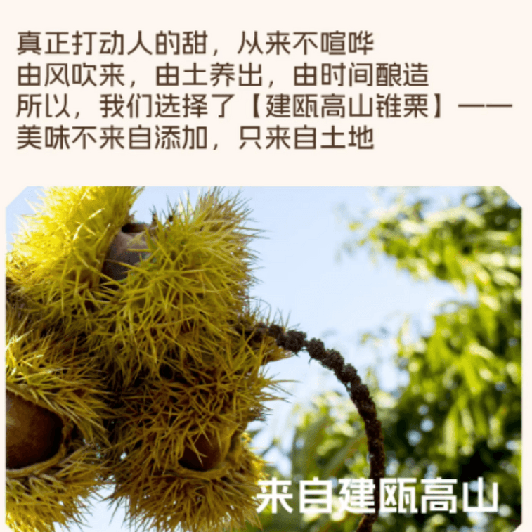 [중국 직배송] 진공 포장된 즉석 밤알 샘플 (밤이 아님), 달콤하고 부드러우며 깨끗함, 200g x 1봉 3