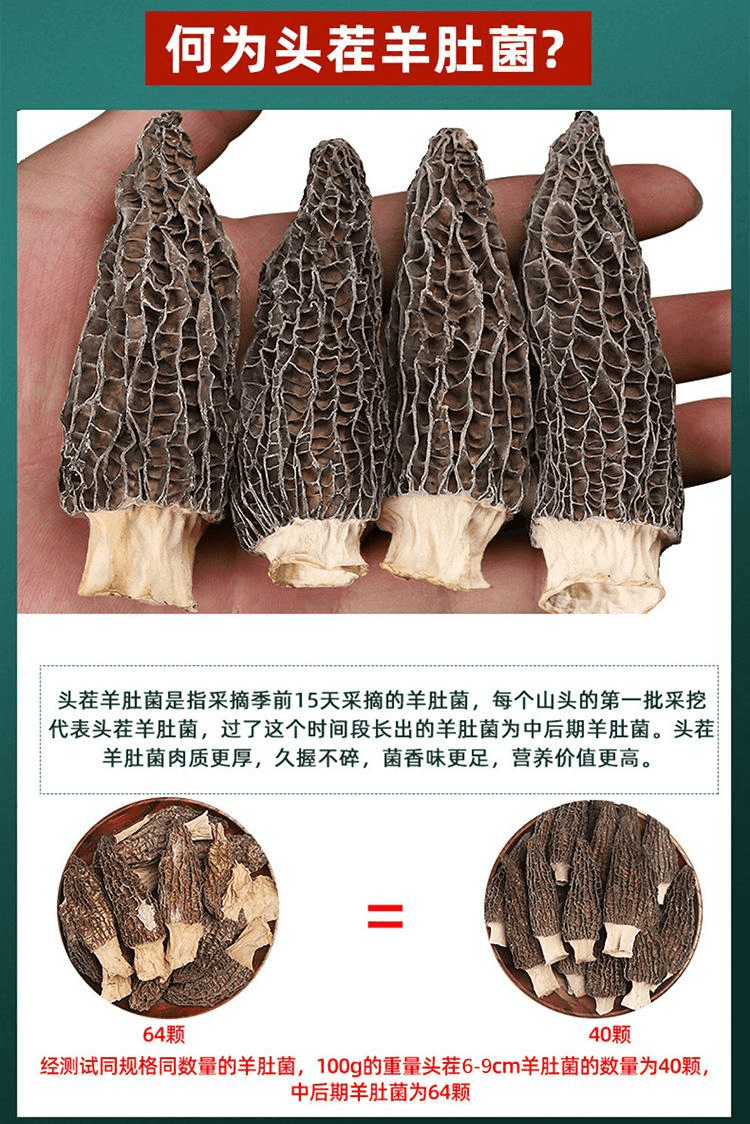 【中国直邮】 醉语阁 野生菌羊肚菌干货云南纯菇蘑干牛肚菌真头茬剪柄野生菌羊肚菌4-6cm净重60g1袋