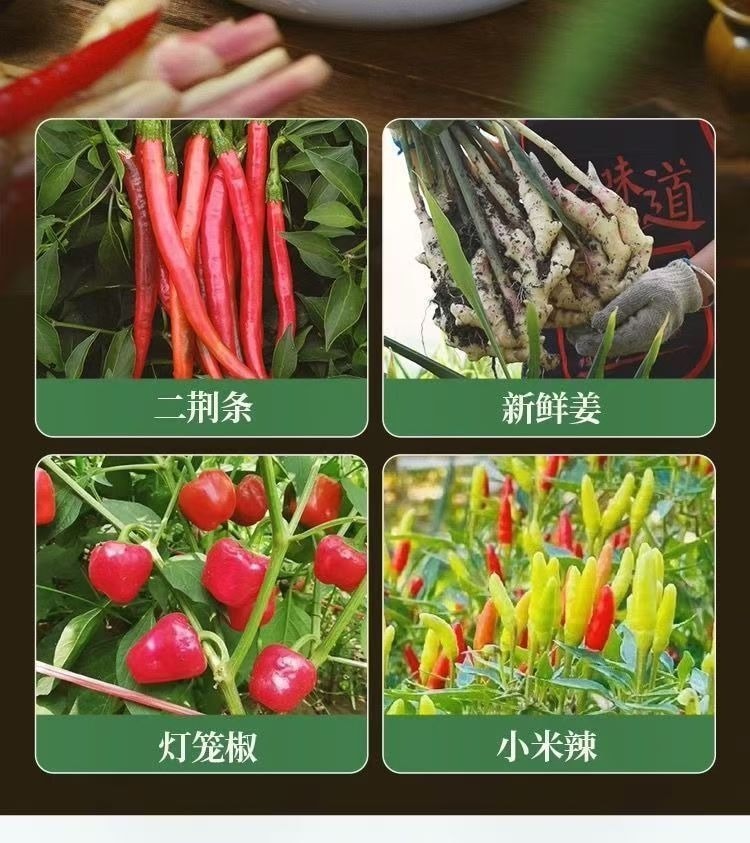 古蜀味道 四川泡椒辣三宝 酸辣爽口 一料多用 250g/袋