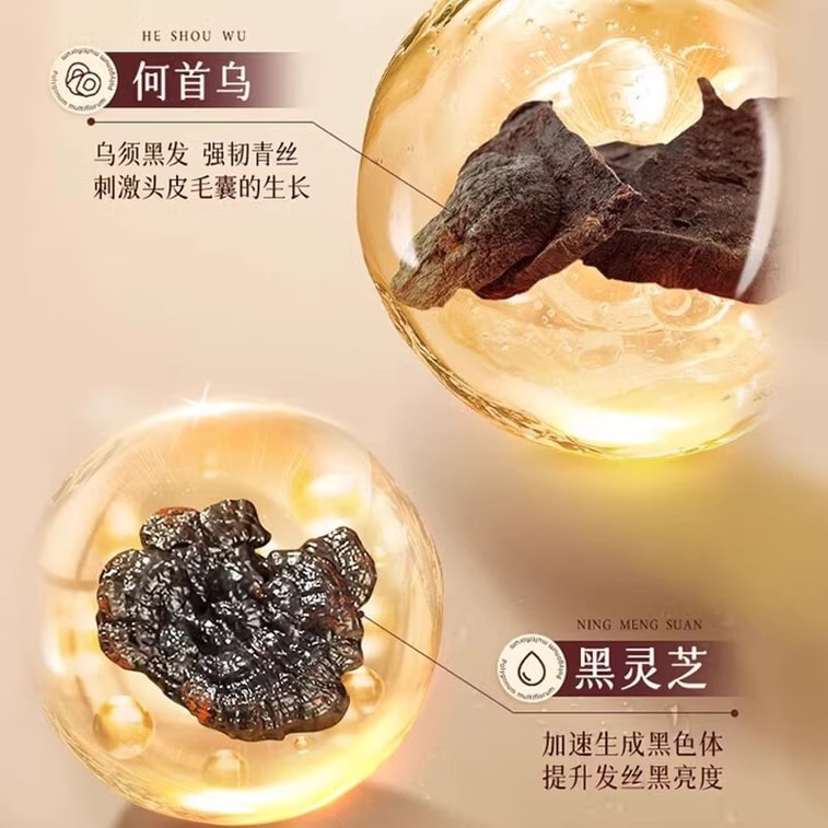 [중국 직배송] 베이징 통런탕 호장근, 생강, 영지버섯 추출물 샴푸 550ml/병 - 탈모 방지, 모발 성장 촉진, 영양 공급, 유분 조절, 비듬 제거. 6