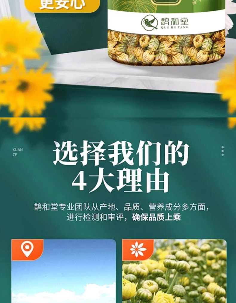 鹊和堂 胎菊茶 选用无硫熏完整无杂质的新鲜头采胎菊35g 清热降火、平肝明目、缓解风热感冒症状(如头痛、眼干)