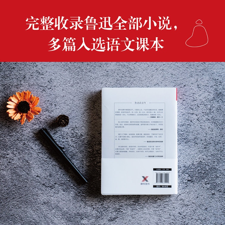 文学名家名著:狂人日记:鲁迅小说全集【磨铁看名著】 3