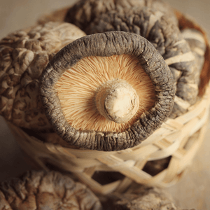Dried Shitake Mushroom 8oz