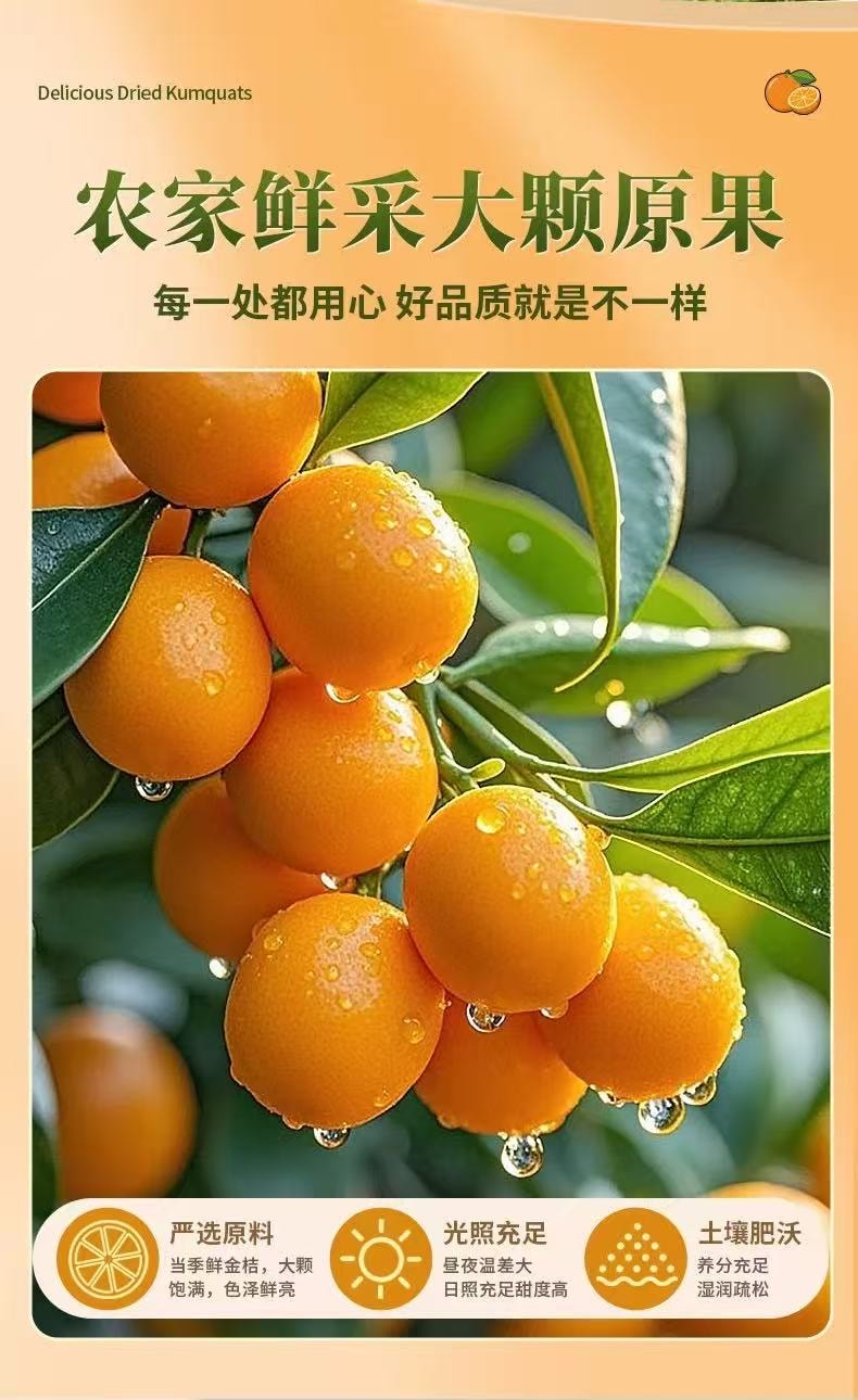 農夫山莊 益生元檸檬金桔65g*2袋 金橘蜜餞特產酸甜零食獨立小包裝