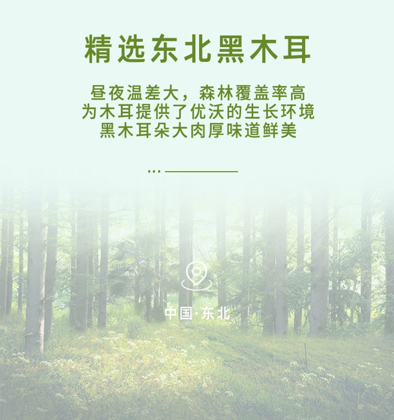 十月稻田 【东北黑木耳】煲汤炒菜易泡发脆嫩爽滑100g*1袋