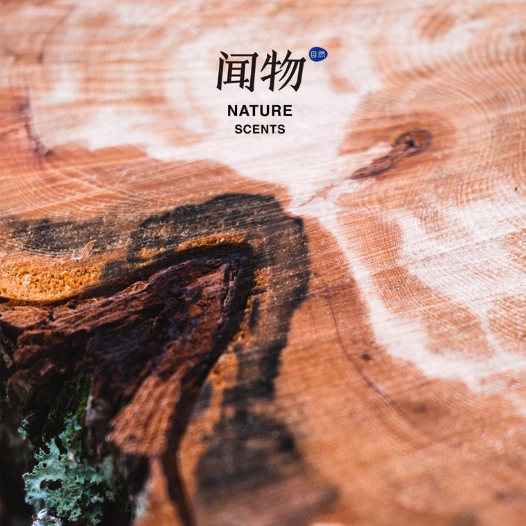 闻物自然 车载香薰原木香挂-乌檀幽韵(檀木香) 扩香香薰石挂件 衣柜无火香薰礼盒 赠送香薰液5ml 6