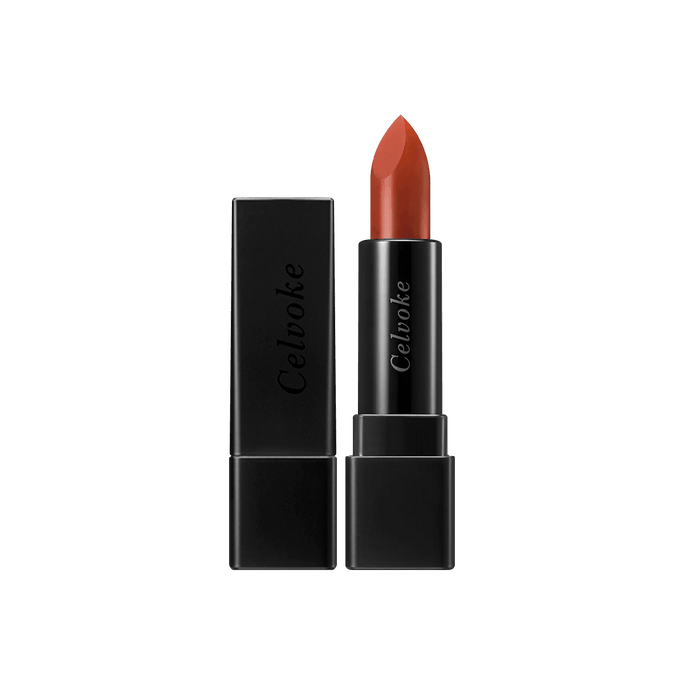 Dignified Lips Lipstick 09 Terracotta