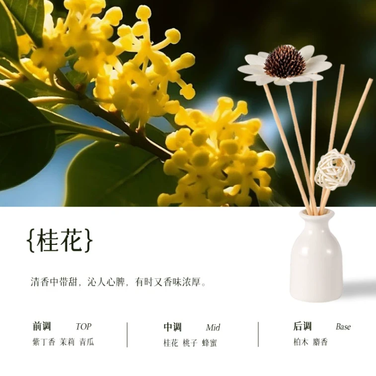 Zuohe · Flameless Elegance Set 30ml|Osmanthus Glow, Worry-Free · Safe & Flameless|Long-Lasting|Decorative Art 5